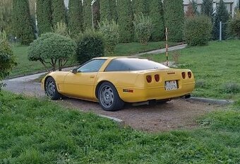 Corvette C4 LT1 - 1
