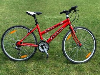 HORSKY/CESTNY DIEVČENSKÝ BICYKEL