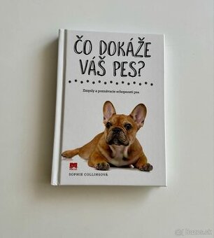 Čo dokáže váš pes ?