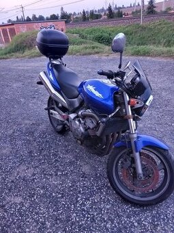 Honda Hornet600