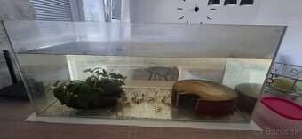 Ponukam akvarium