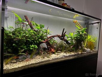 predaj komplet akvarium