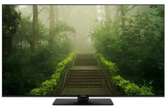 Panasonic TB-55W60AEZ