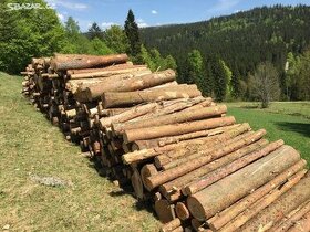 Predám palivové drevo 2m a 4m dlhé  mäkké alebo tvrdé - 1