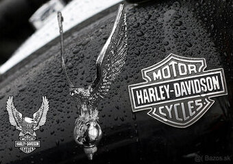 ZNAK ORLA HARLEY DAVIDSON Chróm