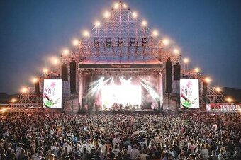 Kupim 3 listky na Grape festival 2025