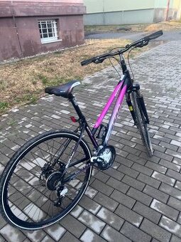 Dámsky bicykel CTM BORA 2.0