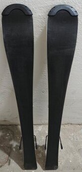 Detské lyže Dynastar Speed SL, 100cm - 1