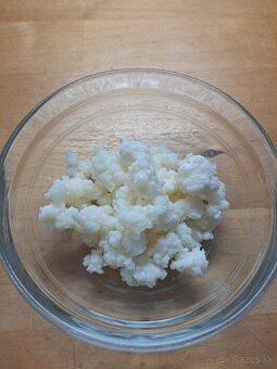 Kefirove zrna,tibetske huby