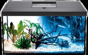 Akvarium