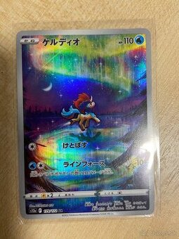 Pokemon karty