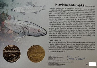 autorská karta Kamzík Tatranský a Hlavátka Podunajská