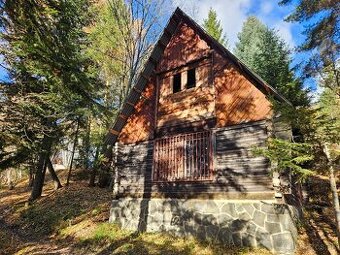 Predam chatu s pozemkom 1978m2 Drienica