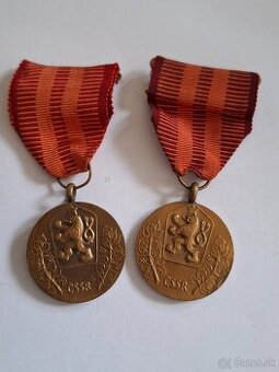 Medaila Za službu vlasti