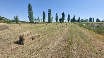 Na predaj pozemok 5560 m2-Kravany nad Dunajom/Komárno/