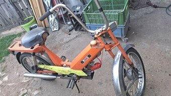 Babeta 207