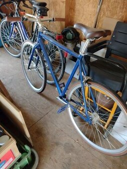 Bicykel Sputter Excelsior mestský