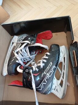 Korcule Bauer vapor x3