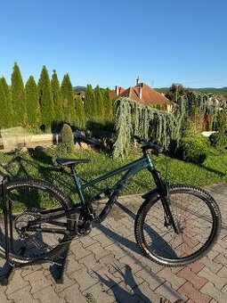 Kellys thorx 50 2025