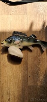 soska ryba
