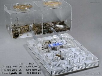 Novy formikarium Duonest pre mravcov.Camponotus,Messor