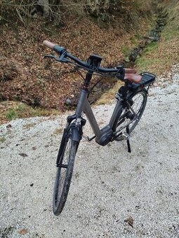 Elektobicykel Qwic