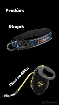 Nonstop obojok + flexi Giant