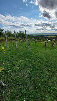 Pozemok o výmere 1333 m2 v Leviciach - Dolné Staré Levice