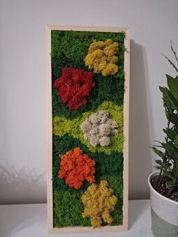 Machový obraz Okrasná záhrada