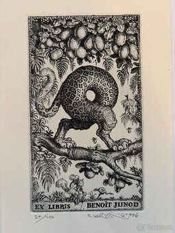 Peter Klucik - mensie grafiky