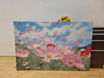 Obraz ikea 78x118cm