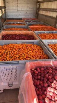 Marhule na kvas 0,78€