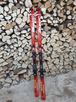 Lyže Atomic Beta Race 193cm