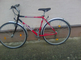 Bicykel Author Horizon