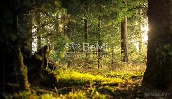 Kúpim trvalý trávnatý porast v Oravskej Jasenici