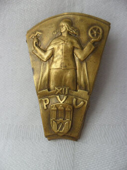 Zriedkavý odznak - XII. PVV - Prvá republika