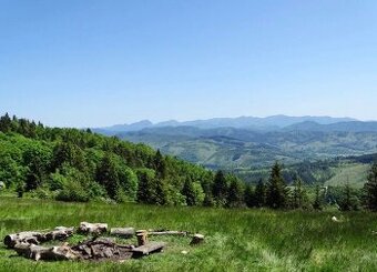 Horelica – 3.100 m2 LES – PREDAJ - 1