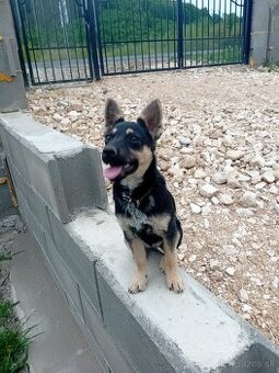 Križenec
