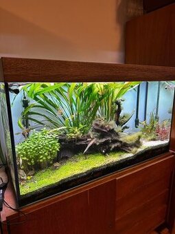 Predám kompletné akvárium 200L s príslušenstvom