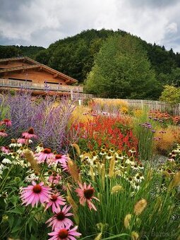 ✨ GREENMAMBA GARDEN – záhrady, do ktorých sa budete chcieť v