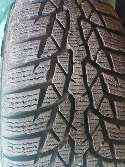 Zimné pneumatiky Nokian