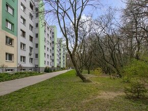 Priestranný 48m2 dvojizbový byt pri lese, Petržalka-Ovsište