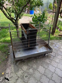 Predám králikáreň za 30 €, len do konca mesiaca