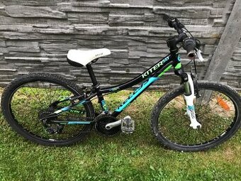 Kellys kitter 24