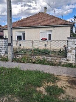 Predam rd v Madarsku