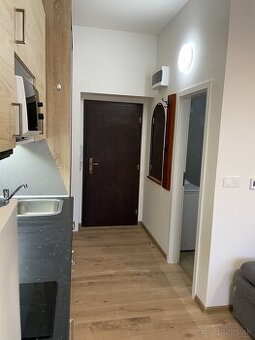 Prenájom 1 izbový byt Vrbové