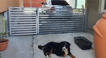 Predám Brana s bránkou