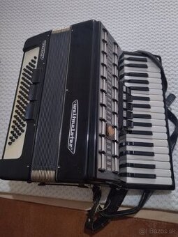 Akordeon weltmeister Serino