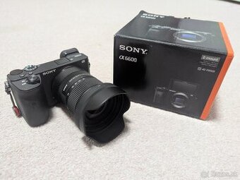 Sony A6600