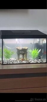 25L akvárium